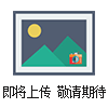 可移動(dòng)電子稱(chēng)選型